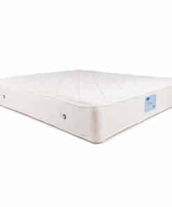 مرتبة انجلندر كارس ٢٧سم